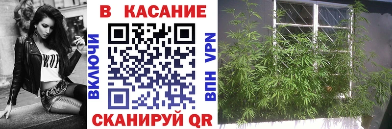 Все наркотики Пионерский Псилоцибиновые грибы  ГАШ  Марихуана 