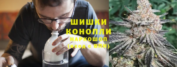винт Пересвет