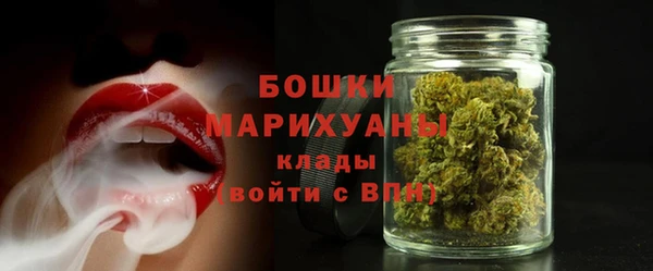 индика Пестово
