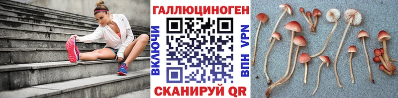 кракен ссылки  Пионерский  Галлюциногенные грибы ЛСД 